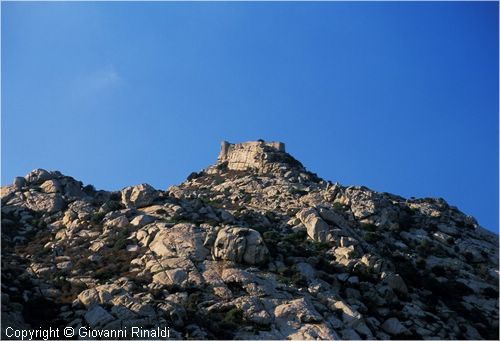 asinara0033.jpg