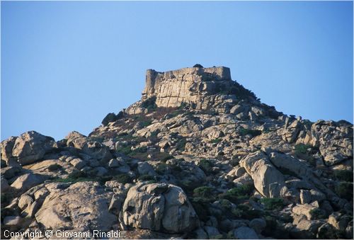 asinara0034.jpg