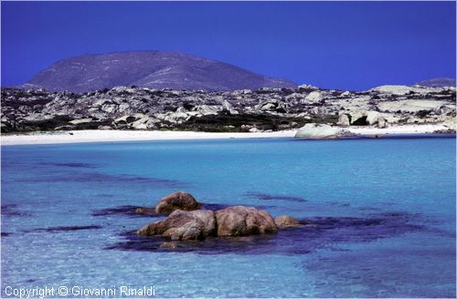 asinara0040.jpg