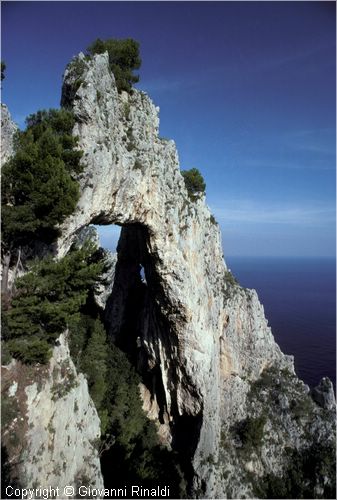 capri0007.jpg