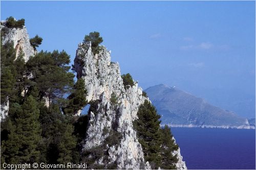 capri0008.jpg