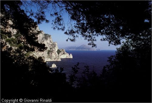 capri0009.jpg