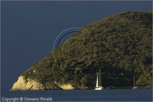 ITALY - TUSCANY - TOSCANA - ISOLA D'ELBA (LI) - la costa di Capo di Poro a sud di Marina di Campo