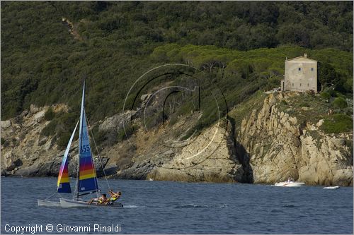 ITALY - TUSCANY - TOSCANA - ISOLA D'ELBA (LI) - Golfo di Procchio