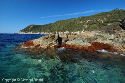 giglio04_0100.jpg