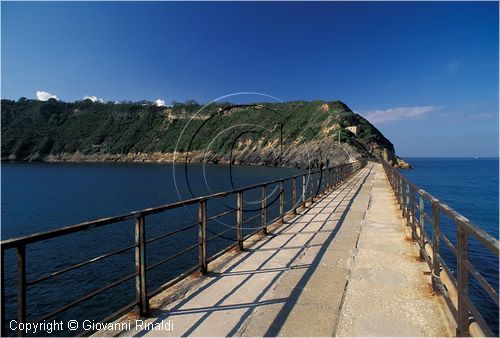 procida0052.jpg