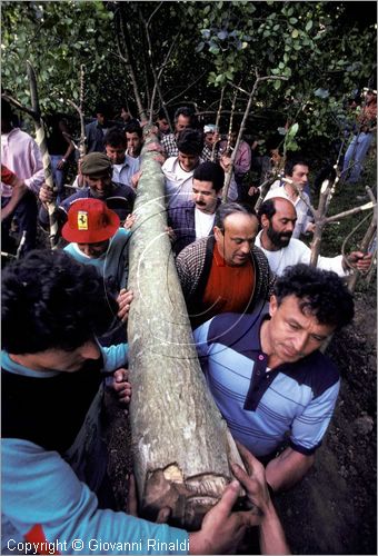 ITALY - ACCETTURA (MT)
"Matrimonio degli alberi" per San Giuliano (dall'ascensione al marted dopo la Pentecoste)
seconda fase: trasporto della Cima dal bosco di Gallipoli al paese (Pentecoste)