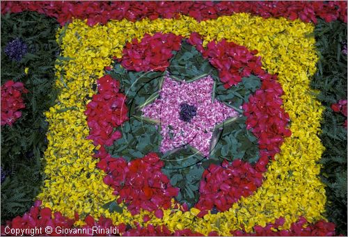 ITALY - BOLSENA (VT)
Infiorata e Processione del Corpus Domini
particolare dei disegni fatti con i petali dei fiori