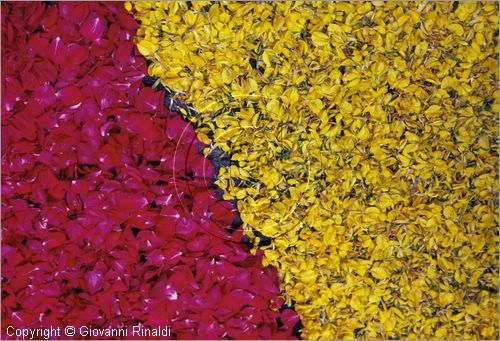 ITALY - BOLSENA (VT)
Infiorata e Processione del Corpus Domini
particolare dei disegni fatti con i petali dei fiori