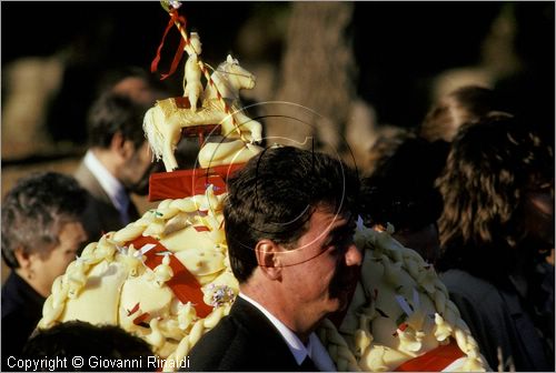 ITALY - CHIEUTI (FG)
Corsa dei Carri trainati dai buoi (21-23 aprile)
Giro del Tarallo, gigantesca treccia di caciocavallo portata in procesione