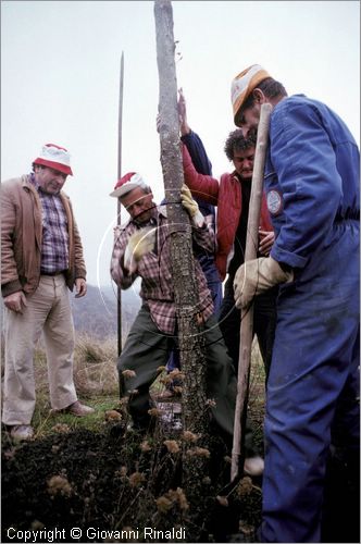 ITALY - SANTA CATERINA (GR) - Focarazza (24 novembre)
preparazione