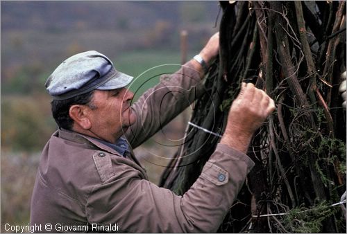 ITALY - SANTA CATERINA (GR) - Focarazza (24 novembre)
preparazione