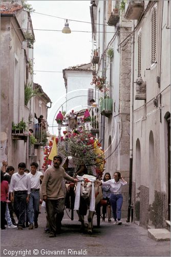 ITALY - LARINO (CB)
Sagra di San Pardo "Carrese" (25-27 maggio)
sfilata di carri addobbati con fiori di carta colorata.
La carrese ricorda un episodio dell842, quando i Larinesi riuscirono ad impossessarsi delle reliquie di San Pardo.