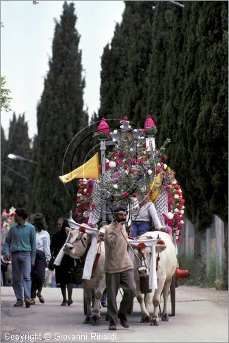 ITALY - LARINO (CB)
Sagra di San Pardo "Carrese" (25-27 maggio)
sfilata di carri addobbati con fiori di carta colorata.
La carrese ricorda un episodio dell842, quando i Larinesi riuscirono ad impossessarsi delle reliquie di San Pardo.