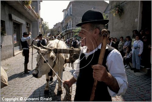 ITALY - MARTA (VT)
Festa della Madonna del Monte (14 maggio)
la festa celebra la fertilit della terra. Le antiche corporazioni
(Casenghi, Bifolchi, Villani e Pescatori) sfilano con i carri allegorici (le "Fontane") per le vie del paese e raggiungono il santuario della Madonna del Monte