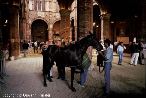 ITALY - SIENA
Il Palio (2 luglio e 16 agosto)
visita veterinaria ai cavalli nel cortile del Palazzo Pubblico per le prove di selezione che avvengono 3 giorni prima