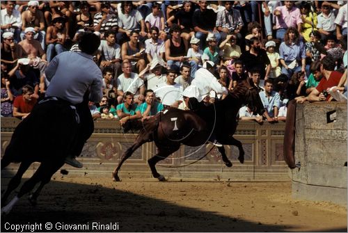 ITALY - SIENA
Il Palio (2 luglio e 16 agosto)
prove di selezione che avvengono 3 giorni prima