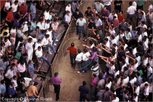 ITALY - SIENA
Il Palio (2 luglio e 16 agosto)
forti litigi tra contradaioli opposti