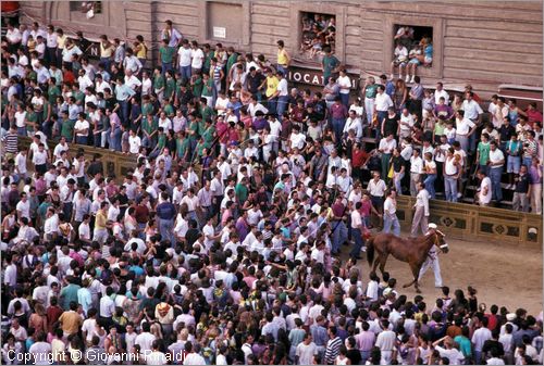 ITALY - SIENA
Il Palio (2 luglio e 16 agosto)
barbaresco e cavallo entrano nel campo per una prova accompagnati dai contradaioli festanti