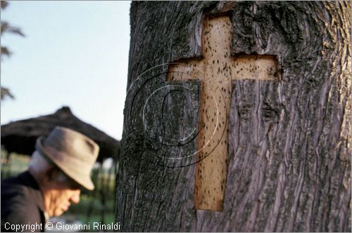 ITALY - PASTENA (FR)
Festa della SS. Croce (30 aprile - 3 maggio)
la croce scolpita indica che quello sar l'albero abbattuto che diventer il "maggio"