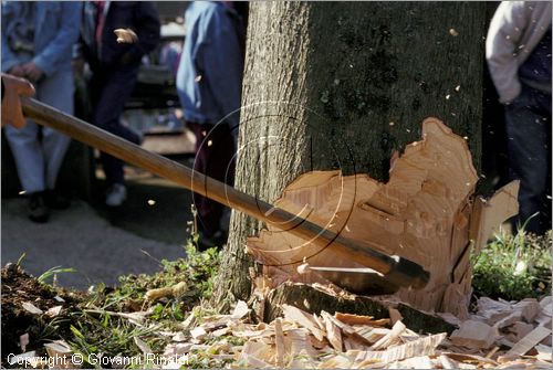 ITALY - PASTENA (FR)
Festa della SS. Croce (30 aprile - 3 maggio)
taglio dell'albero del maggio