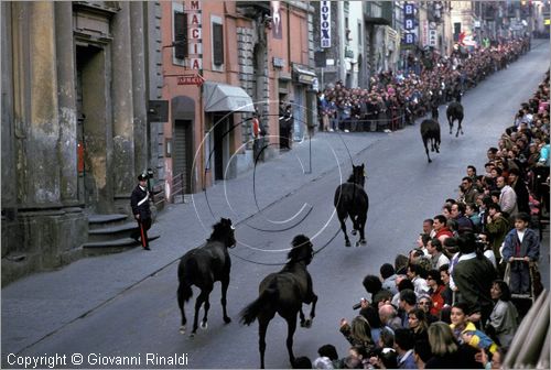 ITALY - RONCIGLIONE (VT)
Carnevale
Corse a vuoto di cavalli senza fantino lungo le vie della citt