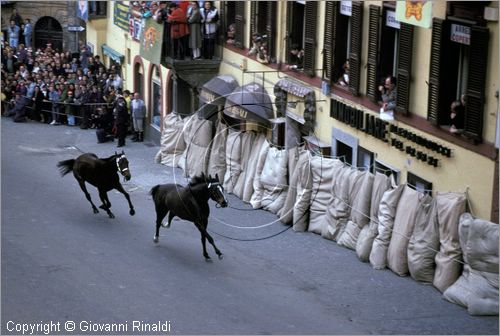 ITALY - RONCIGLIONE (VT)
Carnevale
Corse a vuoto di cavalli senza fantino lungo le vie della citt