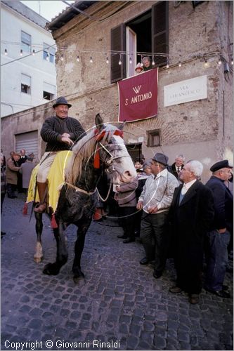 ITALY
VELLETRI (RM)
Festa di Sant'Antonio Abate (domenica dopo il 17 gennaio)
cavalcata storica