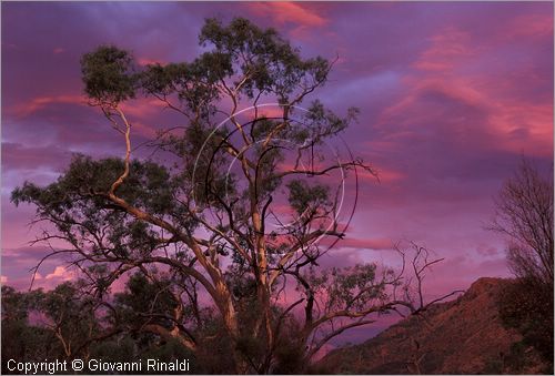 AUSTRALIA CENTRALE - (Alice Springs) - tramonto nel West McDonald Range