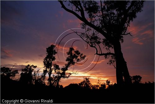 AUSTRALIA CENTRALE - (Alice Springs) - tramonto nel West McDonald Range