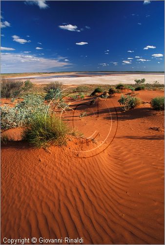 AUSTRALIA CENTRALE - paesaggio con sabbia rossa presso Curtin Springs