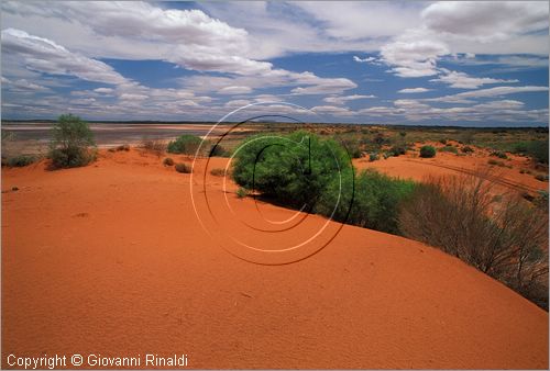 AUSTRALIA CENTRALE - paesaggio con sabbia rossa presso Curtin Springs