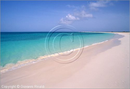 CARAIBI - ISOLE VERGINI BRITANNICHE - ISOLA DI ANEGADA - spiaggia presso Pomato Point