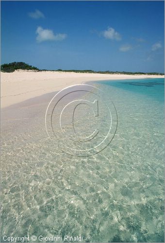 CARAIBI - ISOLE VERGINI BRITANNICHE - ISOLA DI ANEGADA - spiaggia Loblolly Bay