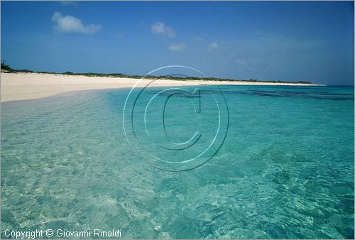 CARAIBI - ISOLE VERGINI BRITANNICHE - ISOLA DI ANEGADA - spiaggia Loblolly Bay