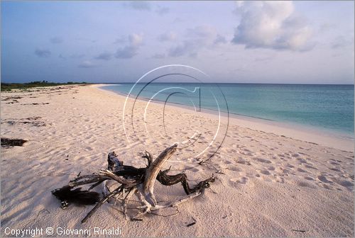 CARAIBI - ISOLE VERGINI BRITANNICHE - ISOLA DI ANEGADA - spiaggia presso Pomato Point