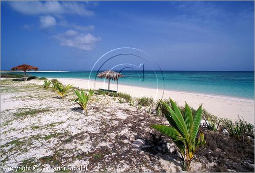 CARAIBI - ISOLE VERGINI BRITANNICHE - ISOLA DI ANEGADA - spiaggia Cow Wreck Point