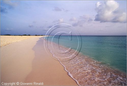 CARAIBI - ISOLE VERGINI BRITANNICHE - ISOLA DI ANEGADA - spiaggia presso Pomato Point