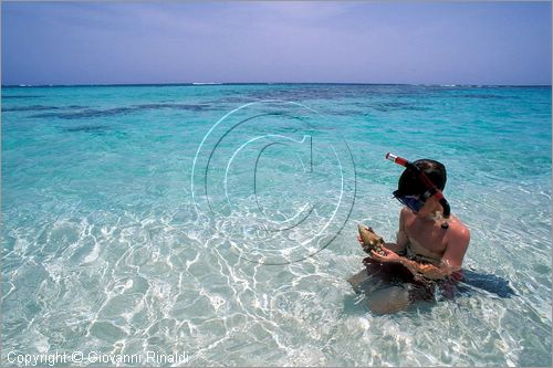 CARAIBI - ISOLE VERGINI BRITANNICHE - ISOLA DI ANEGADA - spiaggia Loblolly Bay