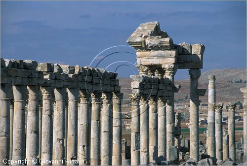 SIRIA - APAMEA (Qala'at al-Mudiq)
antica citt romana - la via principale (cardo) lunga 2 km e colonnata presso la colonna votiva