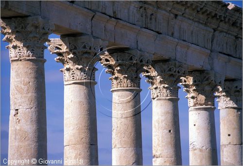 SIRIA - APAMEA (Qala'at al-Mudiq)
antica citt romana - la via principale (cardo) lunga 2 km e colonnata - particolare delle colonne e dei capitelli