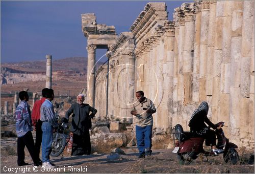 SIRIA - APAMEA (Qala'at al-Mudiq)
antica citt romana - la via principale (cardo) lunga 2 km e colonnata