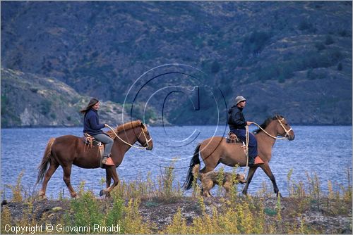 CILE - CHILE - Patagonia - (Puerto Bertrand) - Azienda Tres Lagos