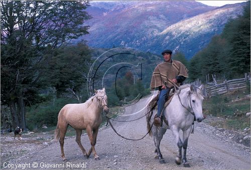 CILE - CHILE - Patagonia - Puerto Bertrand - Camino Austral