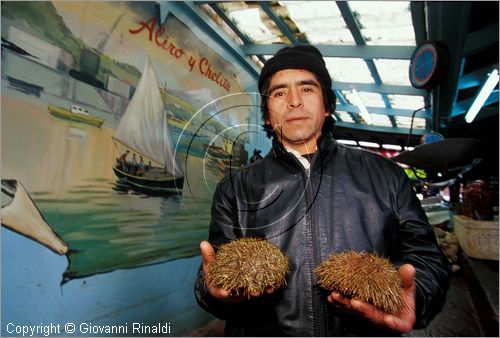 CILE - CHILE - Patagonia - Puerto Montt - Angelmo - mercato del pesce