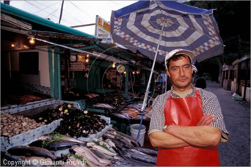 CILE - CHILE - Patagonia - Puerto Montt - Angelmo - mercato del pesce