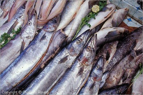 CILE - CHILE - Patagonia - Puerto Montt - Angelmo - mercato del pesce