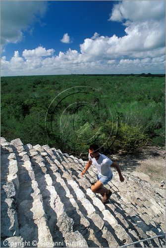 MEXICO - YUCATAN - Area archeologica di Coba' (antica citt Maya (700 - 900 d.C.) - veduta della foresta dalla piramide Nohochmul (42 metri e 120 scalini  la pi alta dello Yucatan)