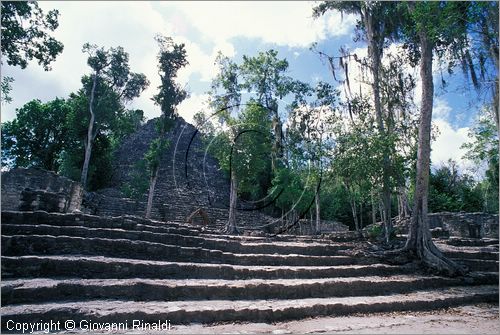 MEXICO - YUCATAN - Area archeologica di Coba' (antica citt Maya (700 - 900 d.C.) - Gruppo Coba'