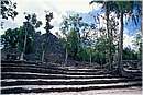 mexico_coba0009.jpg